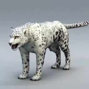 Snow Leopard 3d model