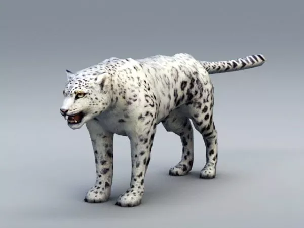 Snow Leopard 3d model Snow Leopard 3d model
