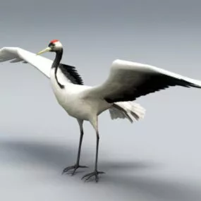 Red Crane Bird 3d model