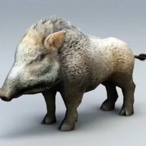 Wild Boar 3d model