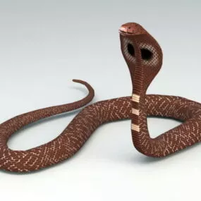 Brown Cobra Snake 3d model
