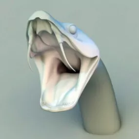 Boa Snake Head 3d model