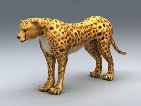 Lowpoly Cheetah Leopard 3d model