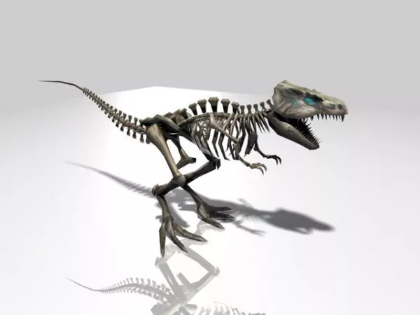 T-rex Skeleton 3d model T-rex Skeleton 3d model