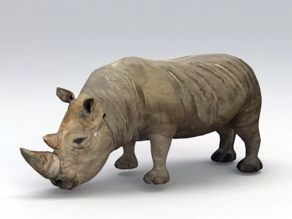 Black Rhino 3d model Black Rhino 3d model