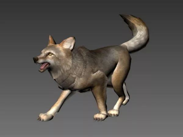 Jackal Wolf 3d model
