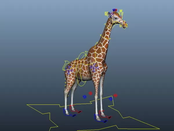 Reticulated Giraffe Rig 3d model Reticulated Giraffe Rig 3d model