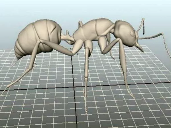 Humanoid Ant Animated With Rig 3d model