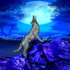 Wolf Moon 3d model