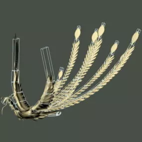 Animated Phoenix Rig 3d model