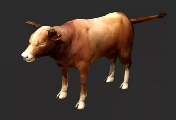 Beef Cattle 3d model Beef Cattle 3d model