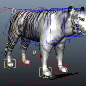 White Tiger Rig 3d model