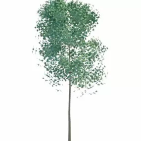 Tree Art 3d model