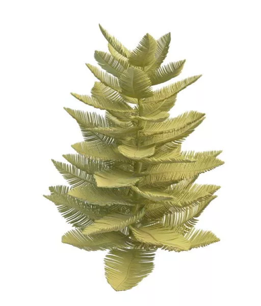 Realistic Coconut Palm Tree 3d model