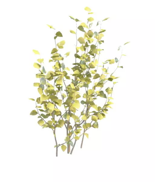 Branch Of Artificial Trees 3d model Branch Of Artificial Trees 3d model