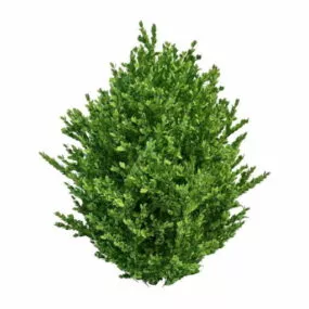Landscape Ornamental Shrubs Tree 3d model