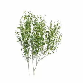 Garden Shrubs 3d model