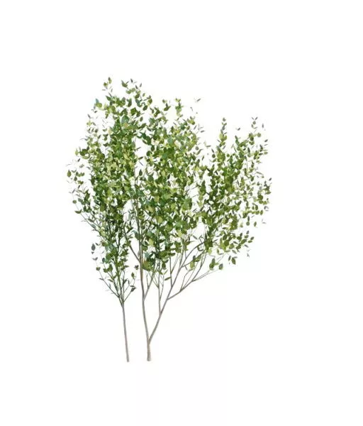 Garden Shrubs 3d model Garden Shrubs 3d model
