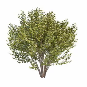 Large Bushes Tree For Landscape 3d model