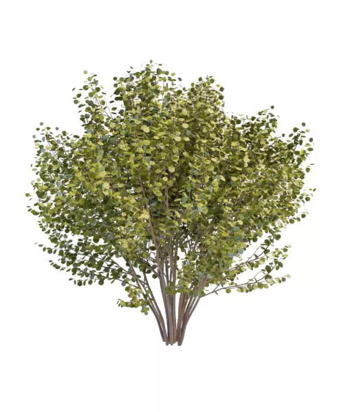 Large Bushes Tree For Landscape 3d model Large Bushes Tree For Landscape 3d model