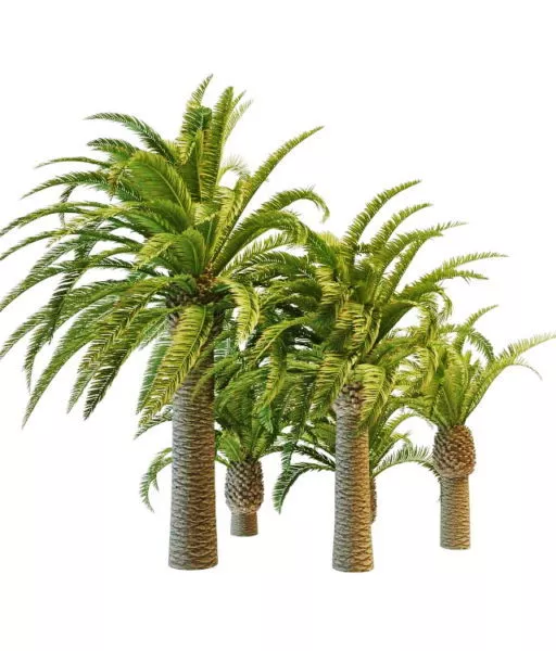 Realistic Pineapple 3d model