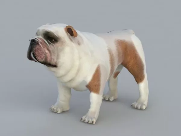Ridgeback Puppy Dog 3d model