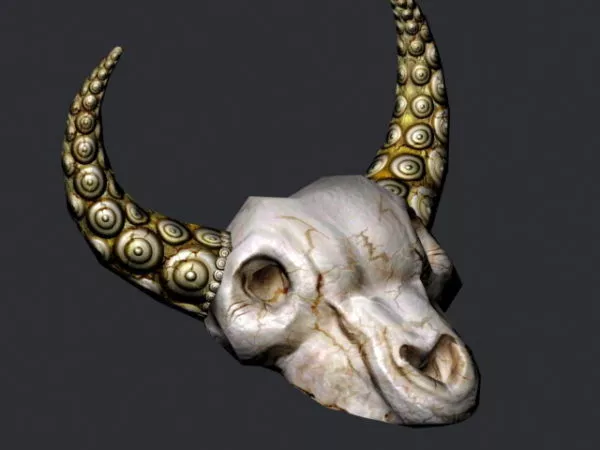 Realistic Human Skeleton 3d model