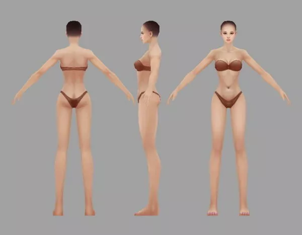 Human Character Base Mesh 3d model