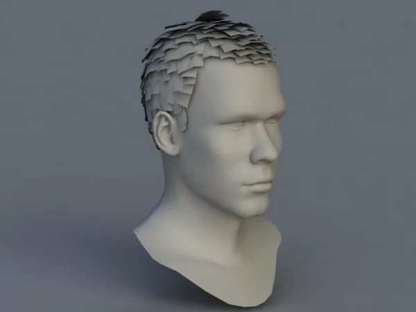 Man Head Character 3d model Man Head Character 3d model