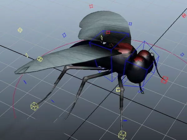Fly Insect Animal Rig 3d model Fly Insect Animal Rig 3d model