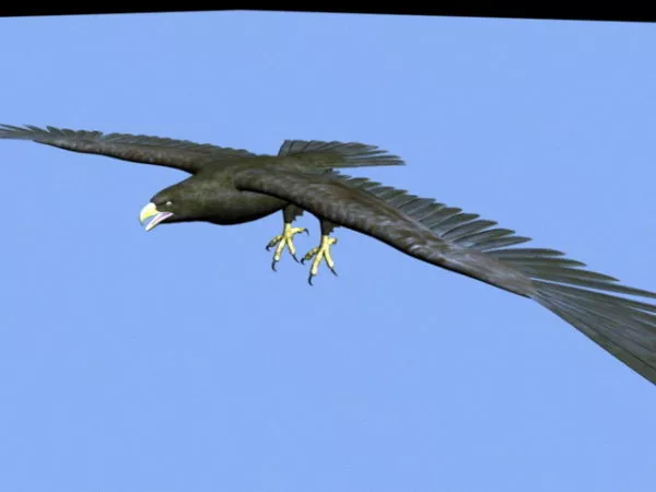 Bald Eagle Statue 3d model