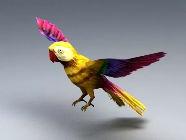 Rainbow Lorikeet V1 3d model