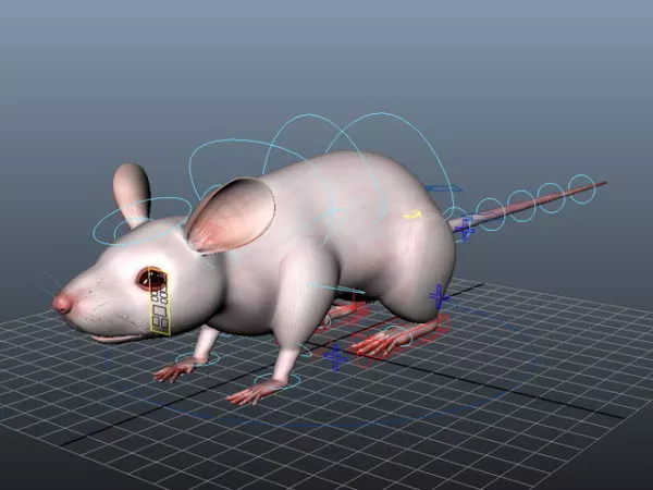 Cartoon Rat Character 3d model