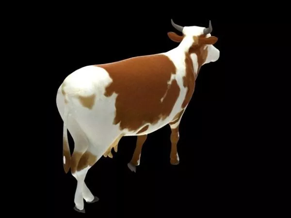 Dairy Cattle Animal 3d model