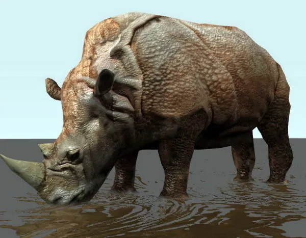 Rhinoceros With Rig 3d model Rhinoceros With Rig 3d model