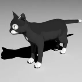 Black Cat With Rigged 3d model