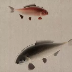 Fish Animation 3d model