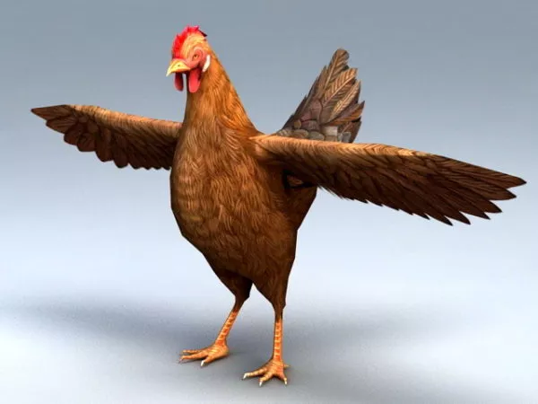 Egg With Chicken 3d model