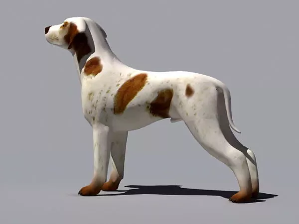 Boxer Great Dane Dog 3d model Boxer Great Dane Dog 3d model