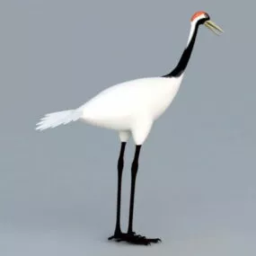 Asian Crane Bird 3d model