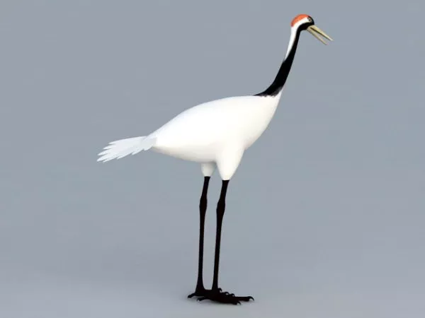 Construction Large Crane 3d model