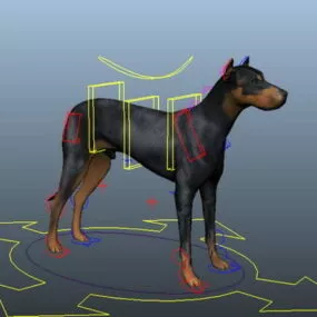 Doberman Dog Rigged 3d model