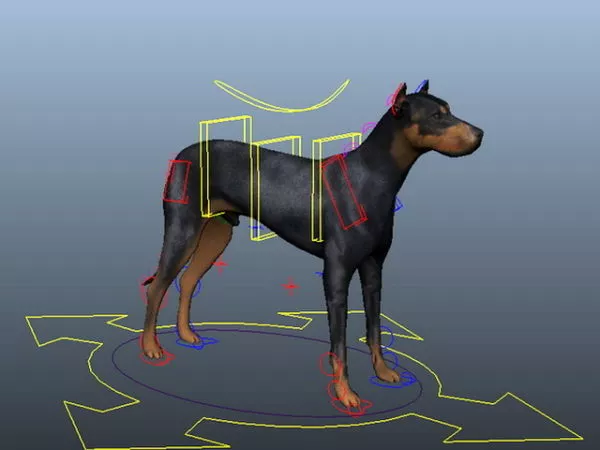 Chihuahua Dog 3d model