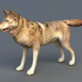 Realistic Arabian Wolf 3d model
