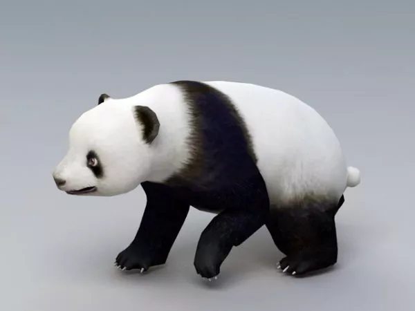Low Poly White Bear 3d model