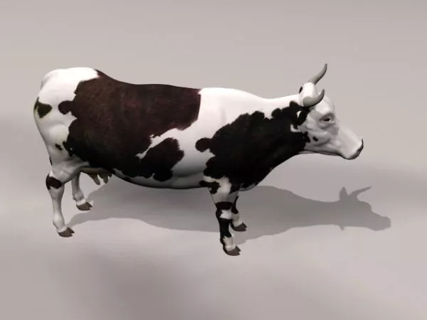 Dairy Cattle Animal 3d model