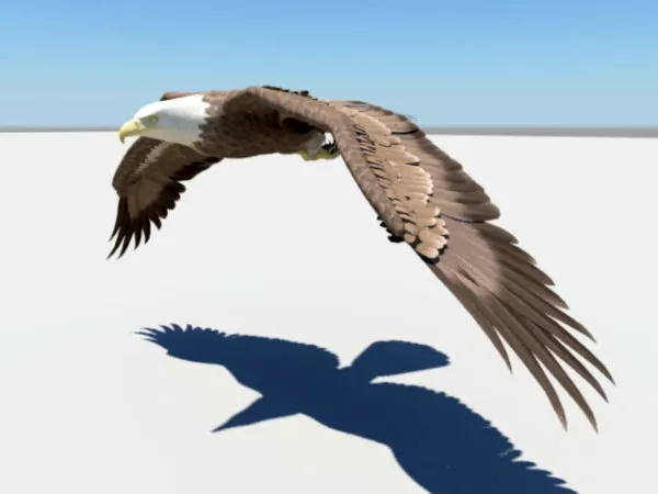 Bald Eagle Statue 3d model