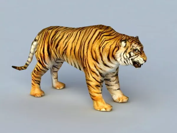 Realistic Tiger Rigged 3d model Realistic Tiger Rigged 3d model
