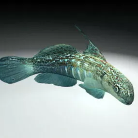 Bullet Goby Fish Sea 3d model