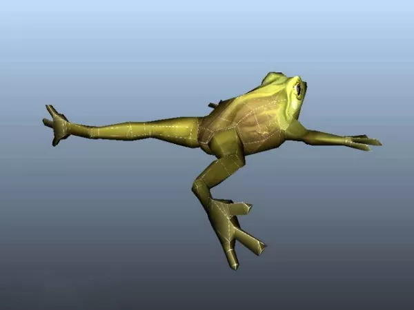 Wild Frog 3d model Wild Frog 3d model